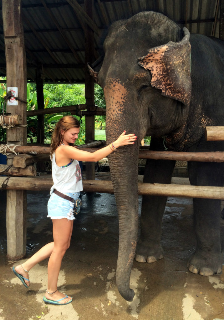 Happy Elephants in Thailand