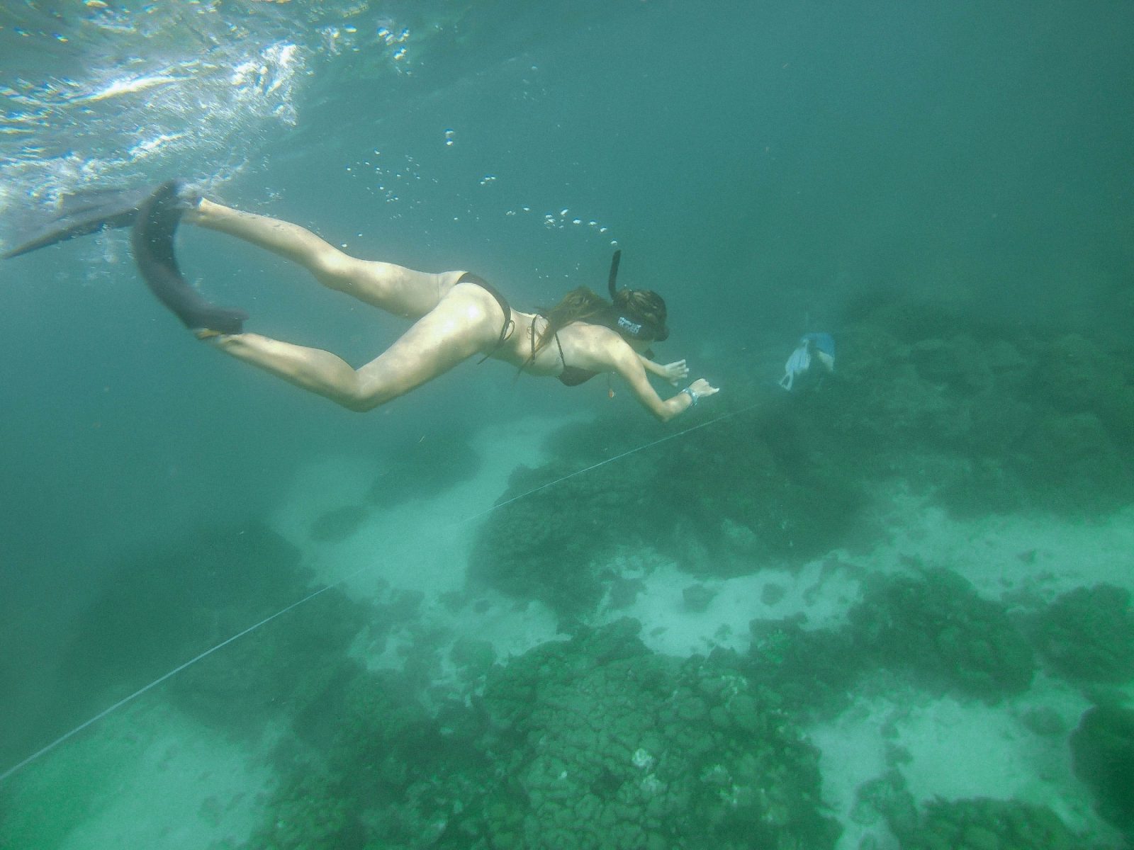 Free diving in Colombia