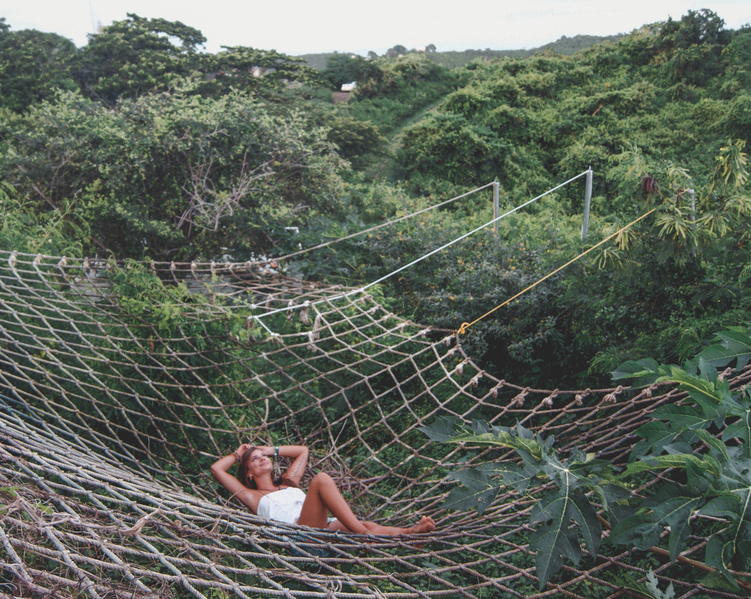 A huge net set in the jungle in Puerto Rico