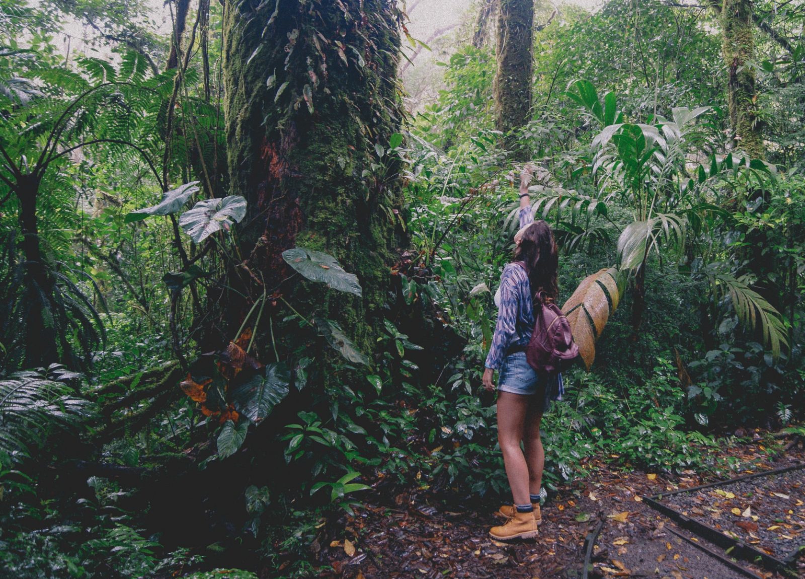 A girl watching plants in Monteverde Cloud Forest Reserve