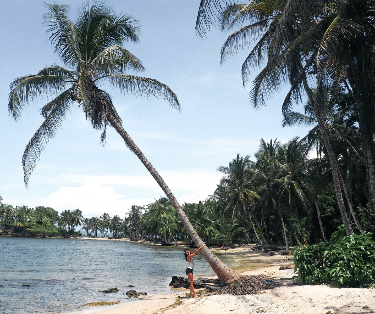 Palms on Carenero beach
