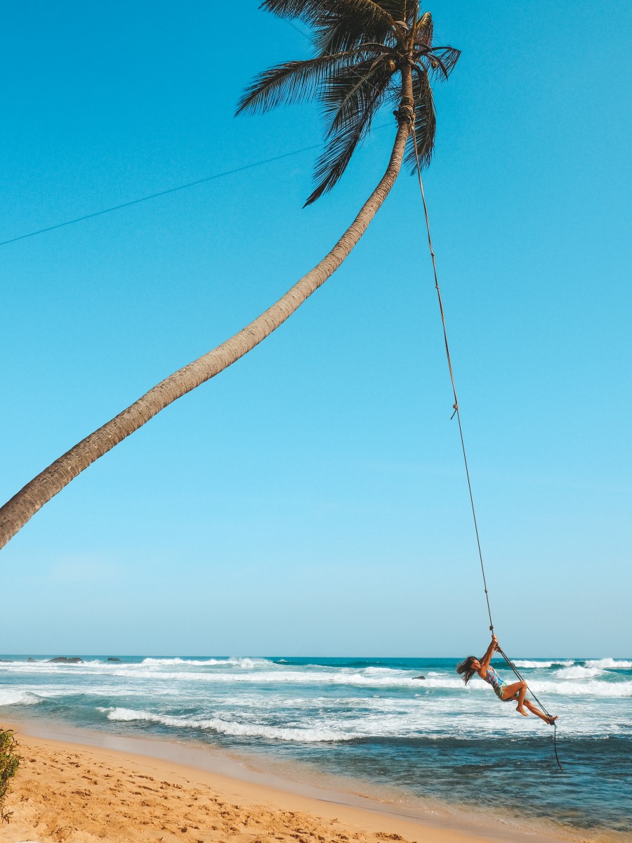 Palm tree rope swing at Dalawella Beach