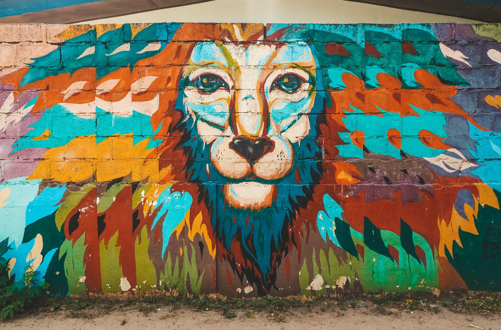 graffiti wall murals in Mirissa