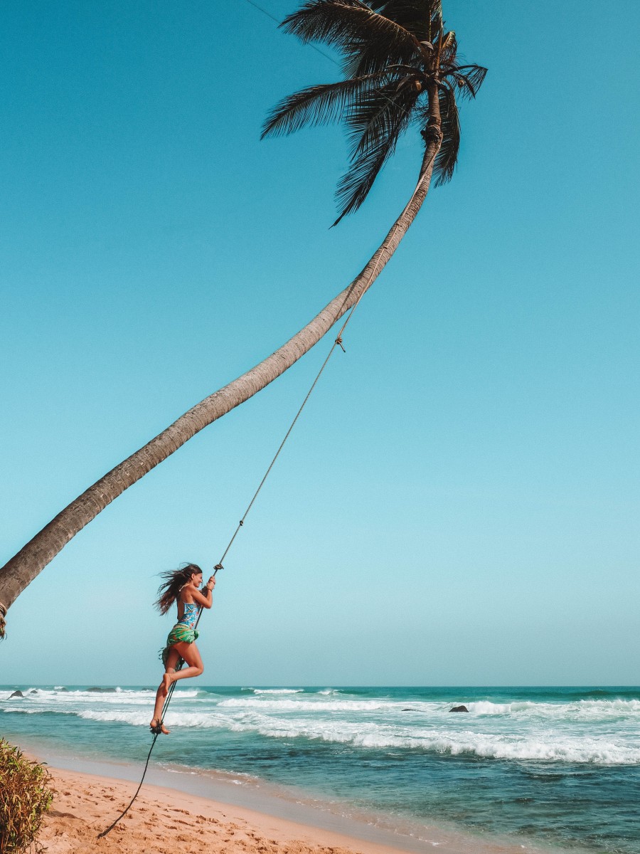 Palm tree rope swing at dalawella beach
