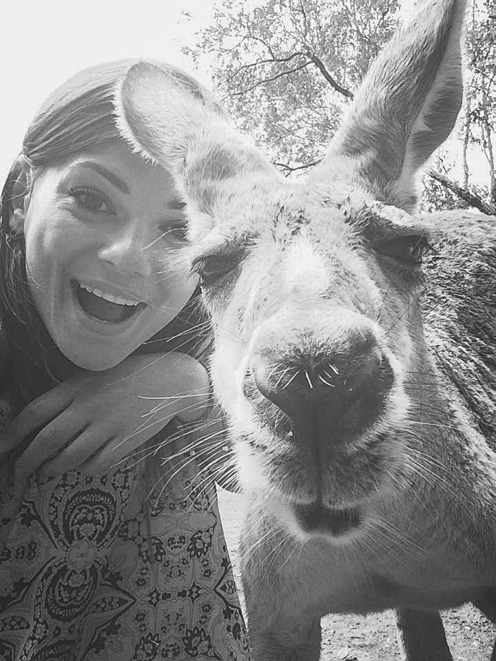 Hang out with Kangaroos in Australia