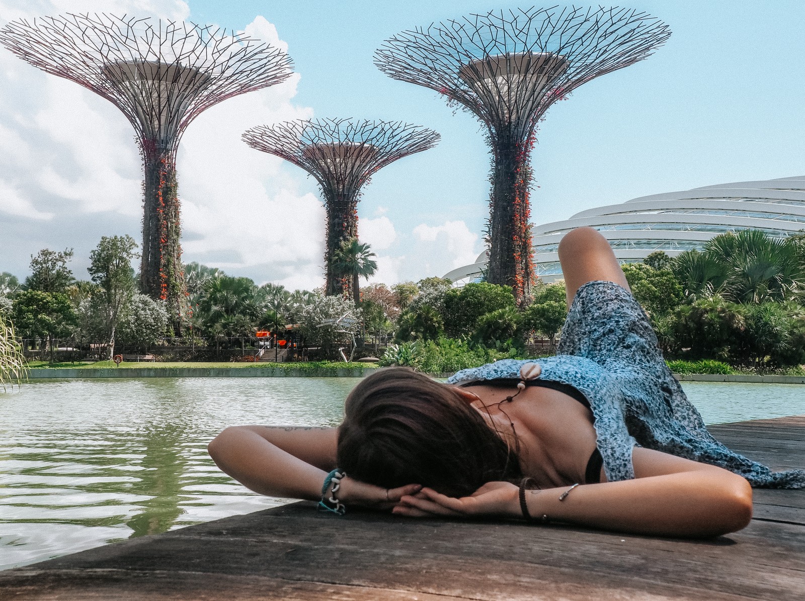 Discover Gardens by the Bay in Singapore