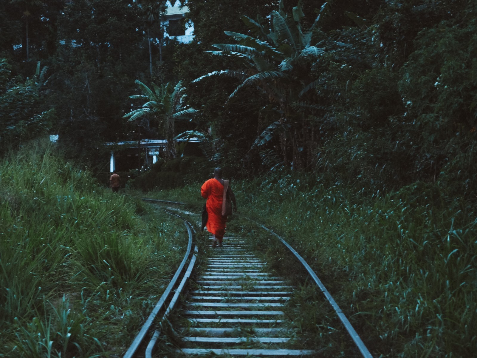 Buddhist walking in Sri Lanka