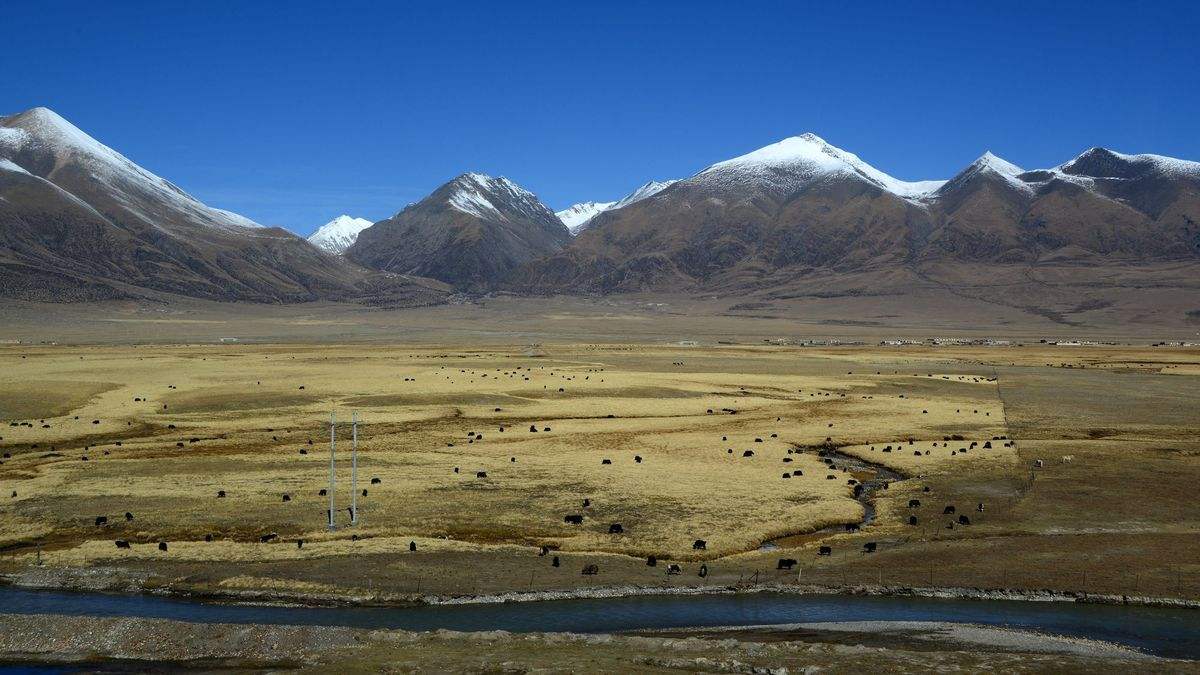 scenery along tibet train