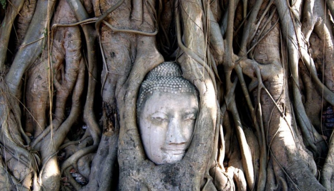Wat Mahathat in Ayutthaya