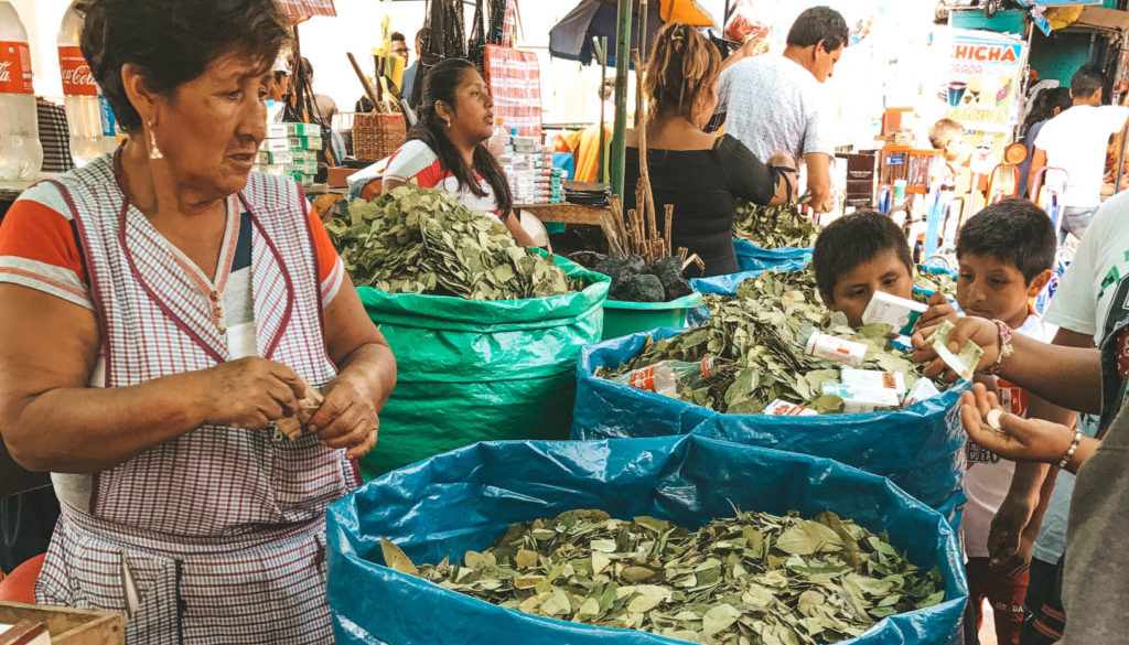 coca leaves at the market in Peru