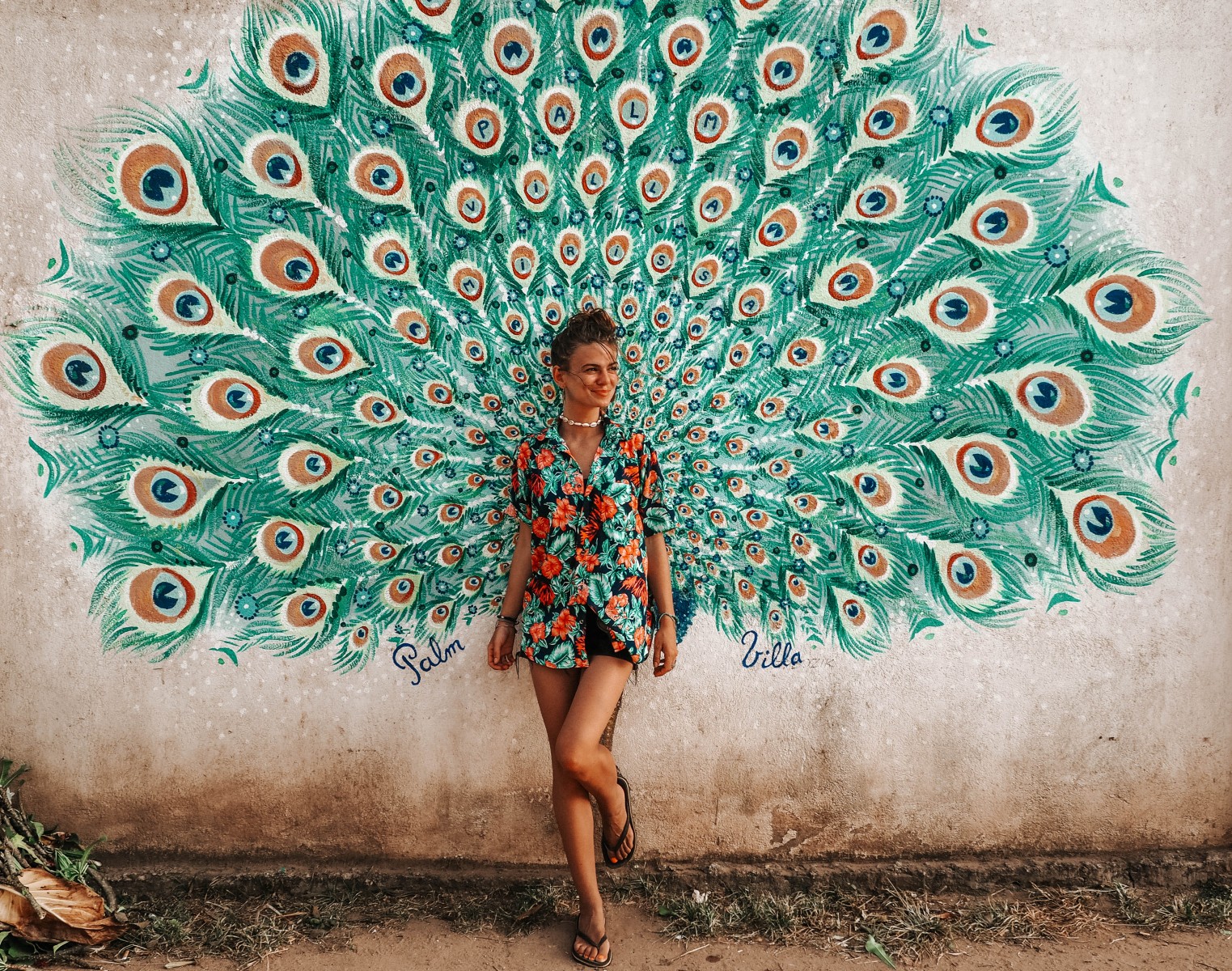 peacock wall mural in Mirissa